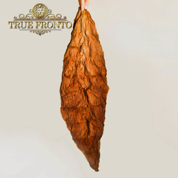 true fronto leaf